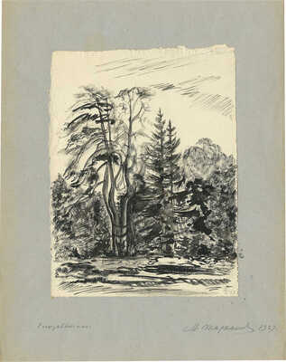 Тарханов Михаил Михайлович. Елизаветино